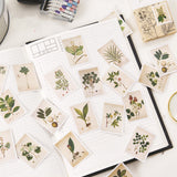 Mo Ink Cartridge Pack Stickers Plant Atlas